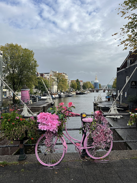 Амстердам канал с розов велосипед и цветя